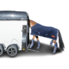 Ein-Ausstieg-Niedrige-Verladehohe-removebg-preview.png Vans Champion Uno C Böckmann